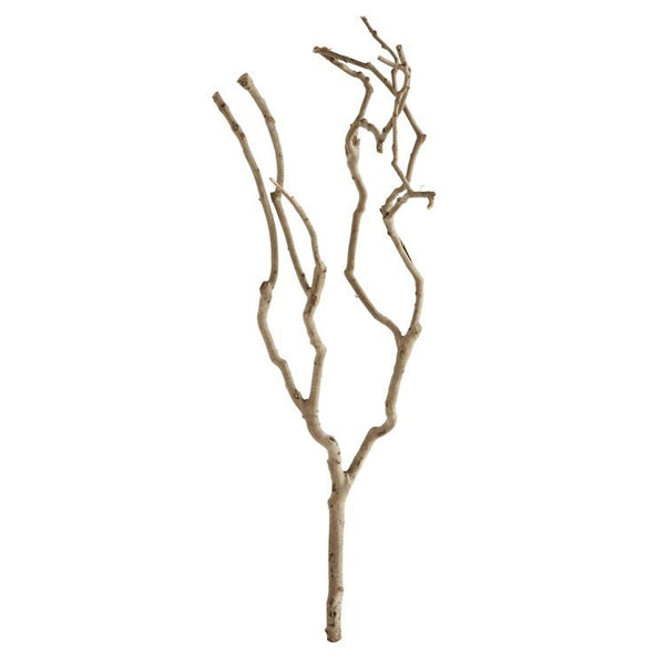 CC 27.5" X 11.75" TEA TREE BRANCH