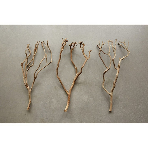 CC 27.5" X 11.75" TEA TREE BRANCH