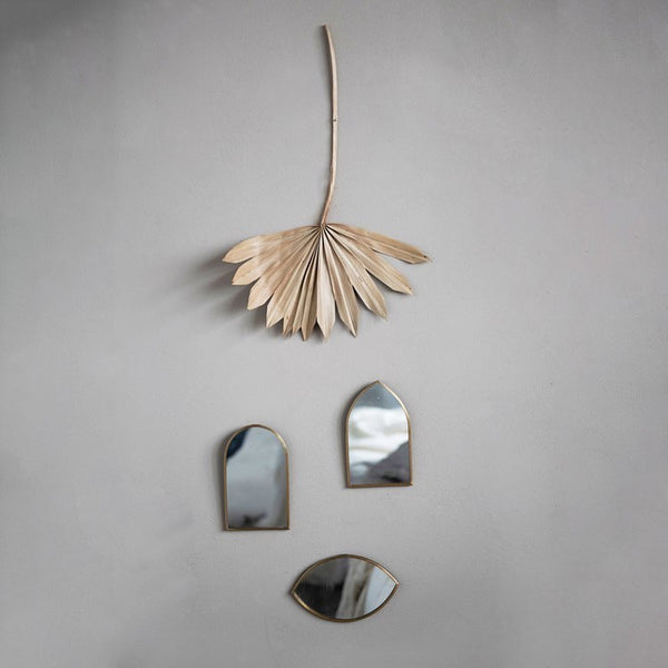 CC DRIED BURI PALM LADY FINGER