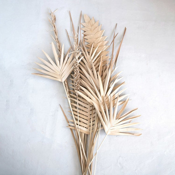 CC DRIED BURI PALM LADY FINGER