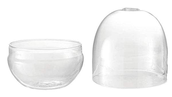 B 7.75"X9.75" GLASS TERRARIUM