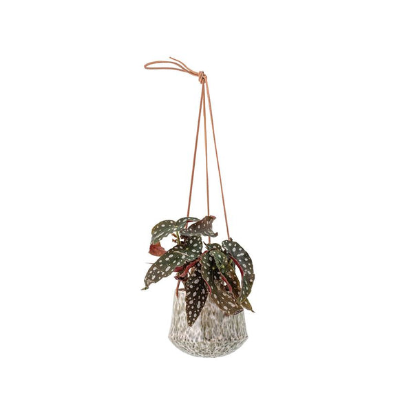 4” GREEN SPECKLED HANGING POT