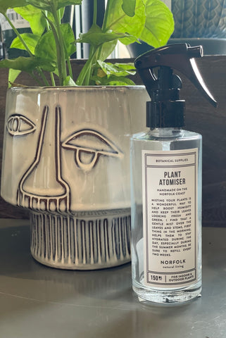 F 150ml GLASS PLANT ATOMIZER