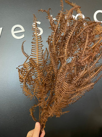CC BROWN FAUX FERN BUNCH