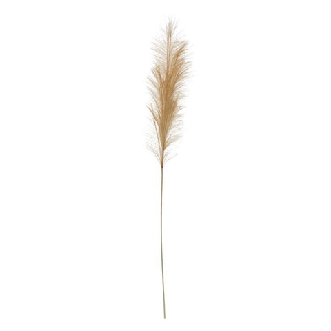 Faux “Wheat”Color Pampas Grass