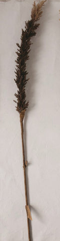 FAUX BROWN FLOCKED GRASS PLUME